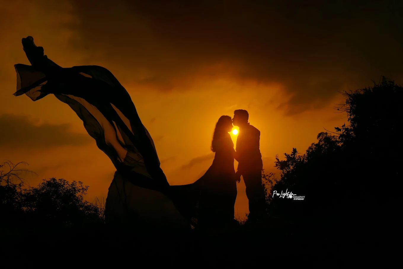 Pro light photography